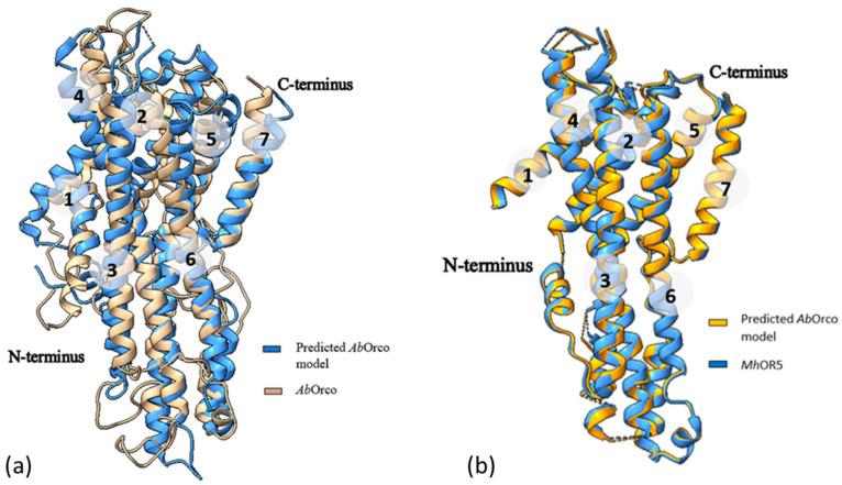 https://cdn.ncbi.nlm.nih.gov/pmc/blobs/8091/10932339/f307108ddfc0/ijms-25-03055-g004.jpg