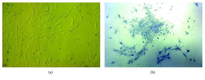 https://cdn.ncbi.nlm.nih.gov/pmc/blobs/8091/6525812/fdafa48648b2/SCI2019-6904638.001.jpg