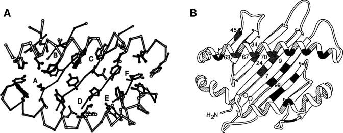 https://cdn.ncbi.nlm.nih.gov/pmc/blobs/8092/10476136/91317e66ee0e/rmdopen-2023-003102f03.jpg