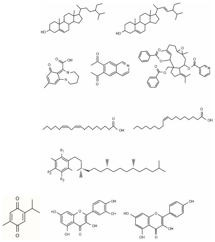 https://cdn.ncbi.nlm.nih.gov/pmc/blobs/8092/10886913/46241847d3f5/biomedicines-12-00405-g001.jpg