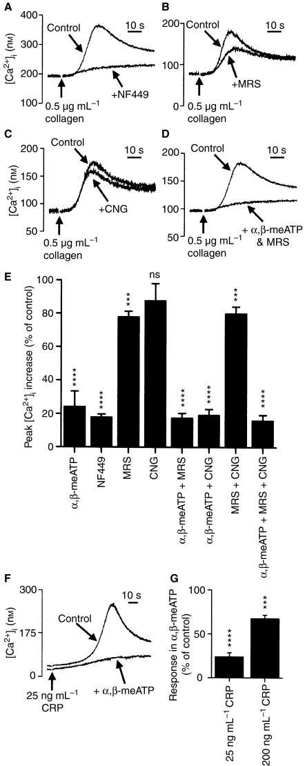 https://cdn.ncbi.nlm.nih.gov/pmc/blobs/8092/1974791/1ed6e2f681c6/jth0005-0910-f2.jpg
