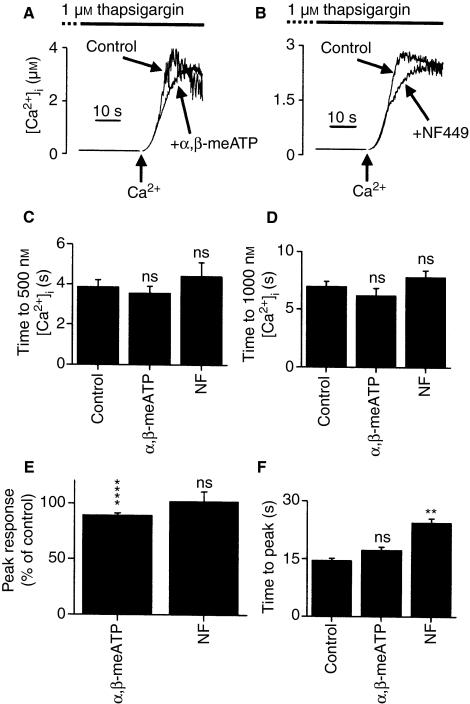https://cdn.ncbi.nlm.nih.gov/pmc/blobs/8092/1974791/6b92a9f8ef45/jth0005-0910-f3.jpg
