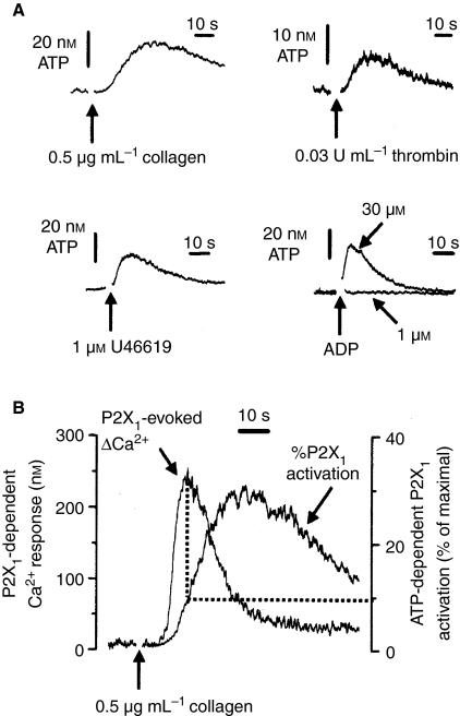 https://cdn.ncbi.nlm.nih.gov/pmc/blobs/8092/1974791/e0a18ed0da70/jth0005-0910-f7.jpg