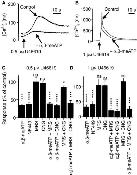 https://cdn.ncbi.nlm.nih.gov/pmc/blobs/8092/1974791/e3e37a341450/jth0005-0910-f5.jpg