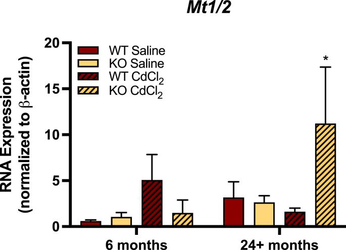 https://cdn.ncbi.nlm.nih.gov/pmc/blobs/8092/8715110/ea46d78a895e/gr8.jpg