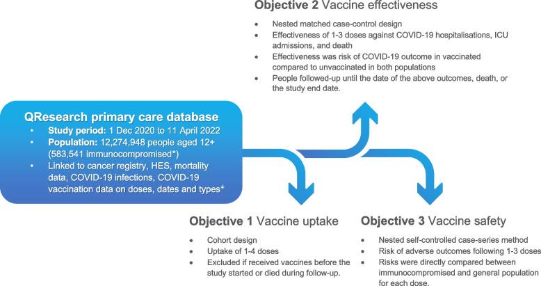 https://cdn.ncbi.nlm.nih.gov/pmc/blobs/809a/11165729/42700b5fe7d8/12916_2024_3457_Fig1_HTML.jpg