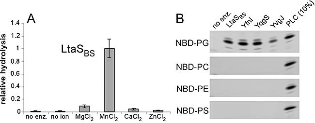 https://cdn.ncbi.nlm.nih.gov/pmc/blobs/809a/3089822/b8554aeacb7b/mmi0079-0566-f3.jpg
