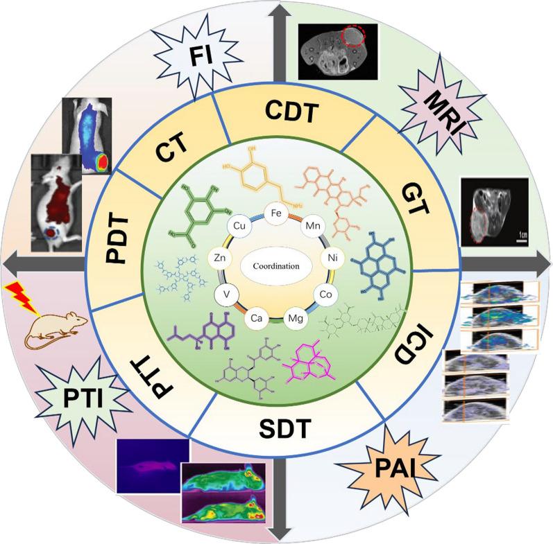 https://cdn.ncbi.nlm.nih.gov/pmc/blobs/809b/11580416/2e83427da68e/12951_2024_2981_Fig1_HTML.jpg