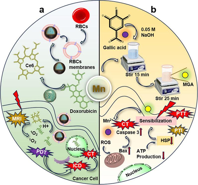 https://cdn.ncbi.nlm.nih.gov/pmc/blobs/809b/11580416/7893d940db3a/12951_2024_2981_Fig6_HTML.jpg