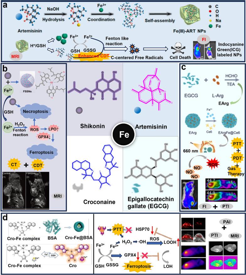 https://cdn.ncbi.nlm.nih.gov/pmc/blobs/809b/11580416/a46a2734eda1/12951_2024_2981_Fig3_HTML.jpg