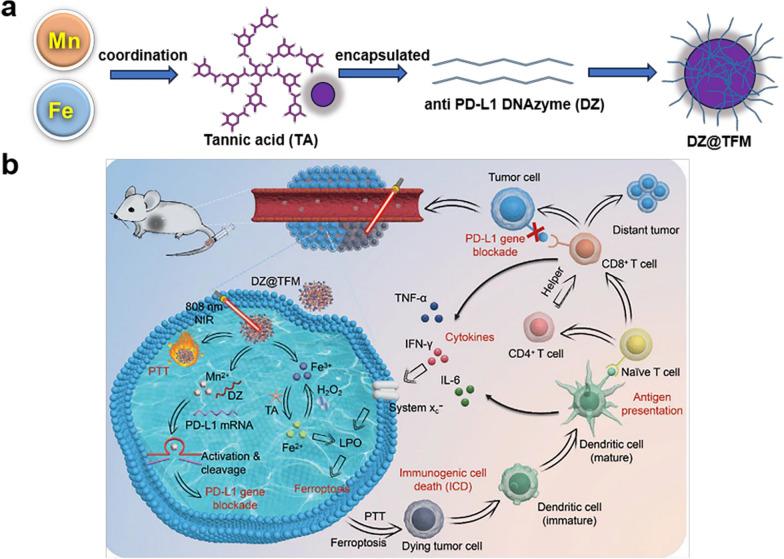 https://cdn.ncbi.nlm.nih.gov/pmc/blobs/809b/11580416/aa64fb7c0b75/12951_2024_2981_Fig8_HTML.jpg