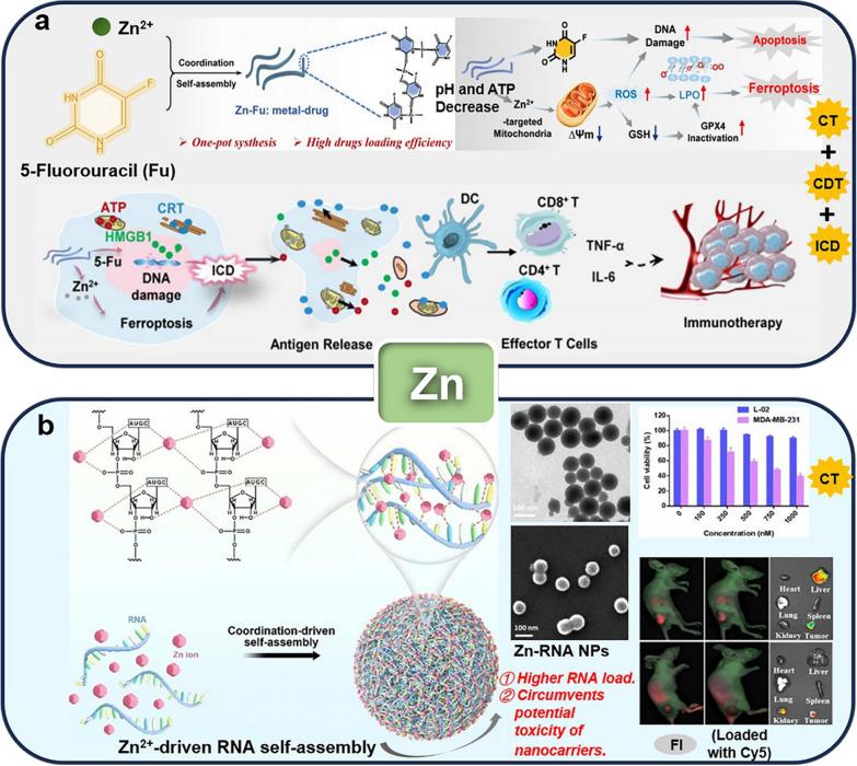 https://cdn.ncbi.nlm.nih.gov/pmc/blobs/809b/11580416/e1d7bd8a4c57/12951_2024_2981_Fig7_HTML.jpg