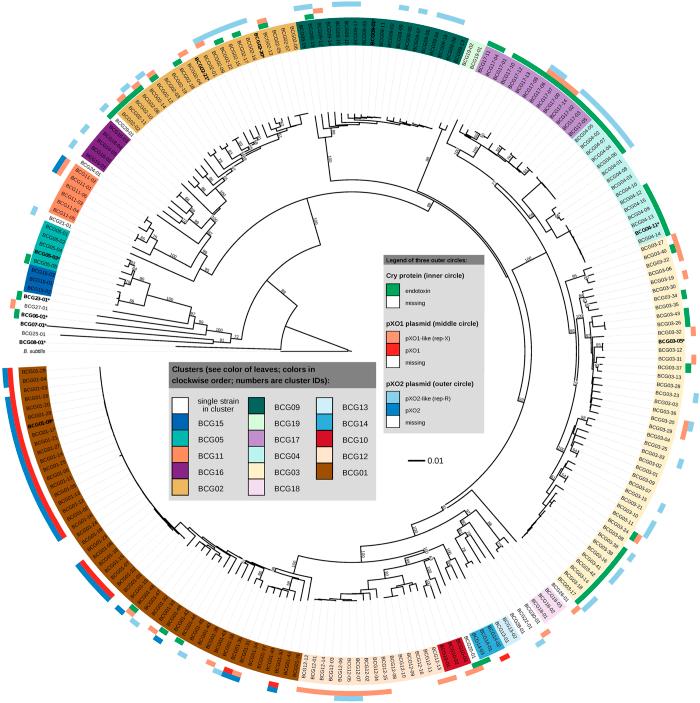 https://cdn.ncbi.nlm.nih.gov/pmc/blobs/809c/4571650/9187dcf662b4/srep14082-f1.jpg