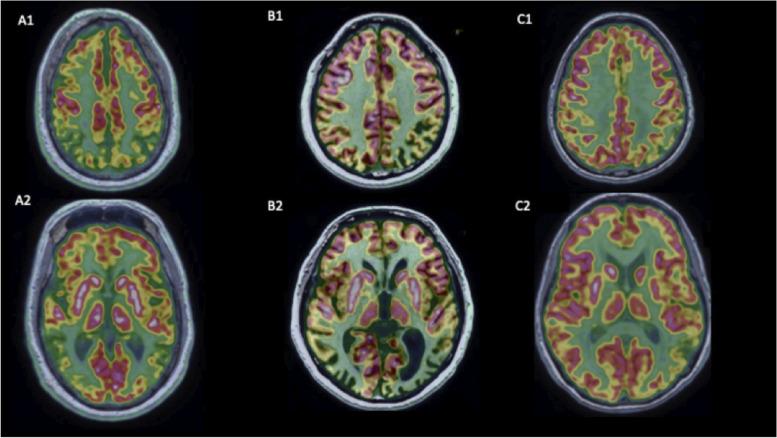 https://cdn.ncbi.nlm.nih.gov/pmc/blobs/809d/10571241/51578afc3a4b/13195_2023_1314_Fig3_HTML.jpg
