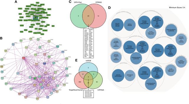 https://cdn.ncbi.nlm.nih.gov/pmc/blobs/809e/8963997/24b9b19fb7bd/fonc-12-844794-g005.jpg