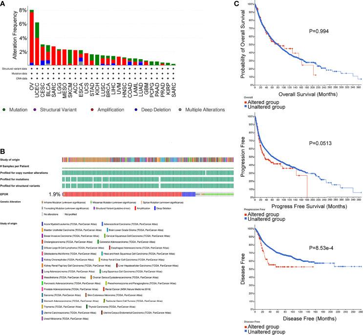 https://cdn.ncbi.nlm.nih.gov/pmc/blobs/809e/8963997/5984eb1e9d52/fonc-12-844794-g008.jpg