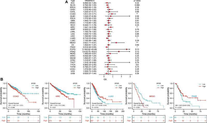https://cdn.ncbi.nlm.nih.gov/pmc/blobs/809e/8963997/98457277ef5c/fonc-12-844794-g002.jpg