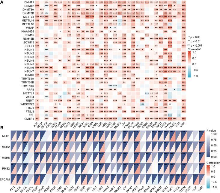 https://cdn.ncbi.nlm.nih.gov/pmc/blobs/809e/8963997/a6bdab565247/fonc-12-844794-g010.jpg