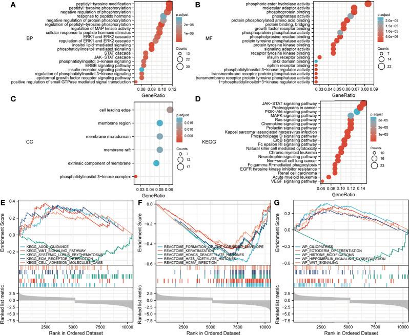 https://cdn.ncbi.nlm.nih.gov/pmc/blobs/809e/8963997/a78112453c1c/fonc-12-844794-g011.jpg