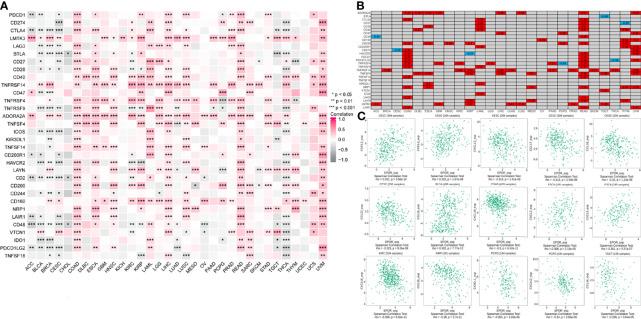 https://cdn.ncbi.nlm.nih.gov/pmc/blobs/809e/8963997/c854490db3eb/fonc-12-844794-g007.jpg