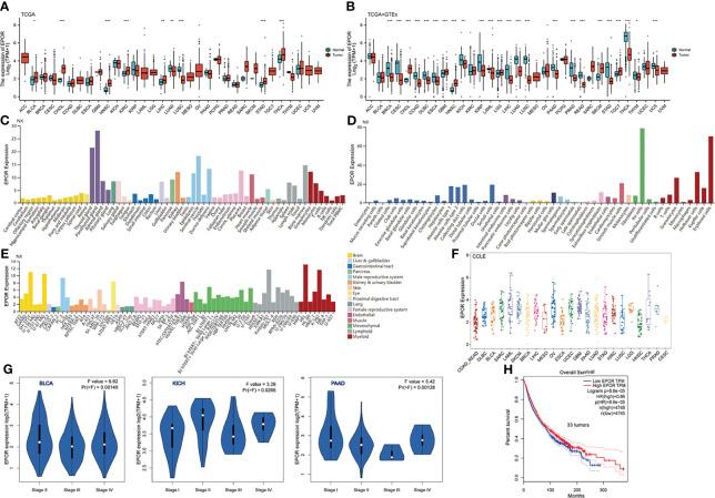 https://cdn.ncbi.nlm.nih.gov/pmc/blobs/809e/8963997/cf8126f13411/fonc-12-844794-g001.jpg
