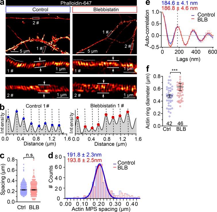 https://cdn.ncbi.nlm.nih.gov/pmc/blobs/809f/7199852/736129023f27/JCB_201902001_FigS3.jpg
