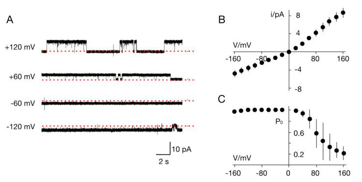 https://cdn.ncbi.nlm.nih.gov/pmc/blobs/809f/7650704/c950a306171b/viruses-12-01107-g005.jpg