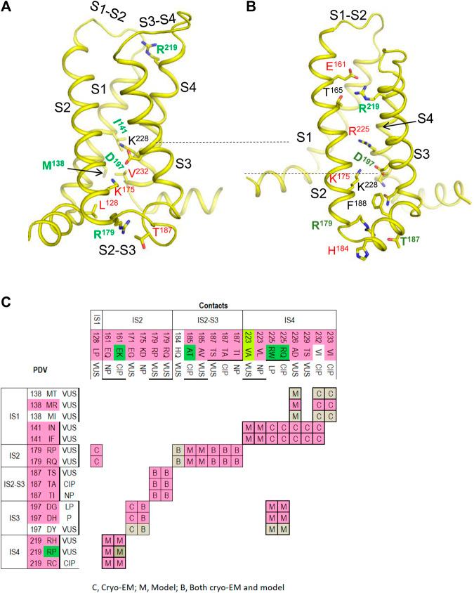 https://cdn.ncbi.nlm.nih.gov/pmc/blobs/80a0/8600069/a9a7e575810f/fphar-12-756415-g005.jpg