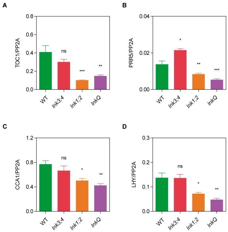 https://cdn.ncbi.nlm.nih.gov/pmc/blobs/80a2/6356500/070dac48c2d2/genes-10-00002-g004.jpg