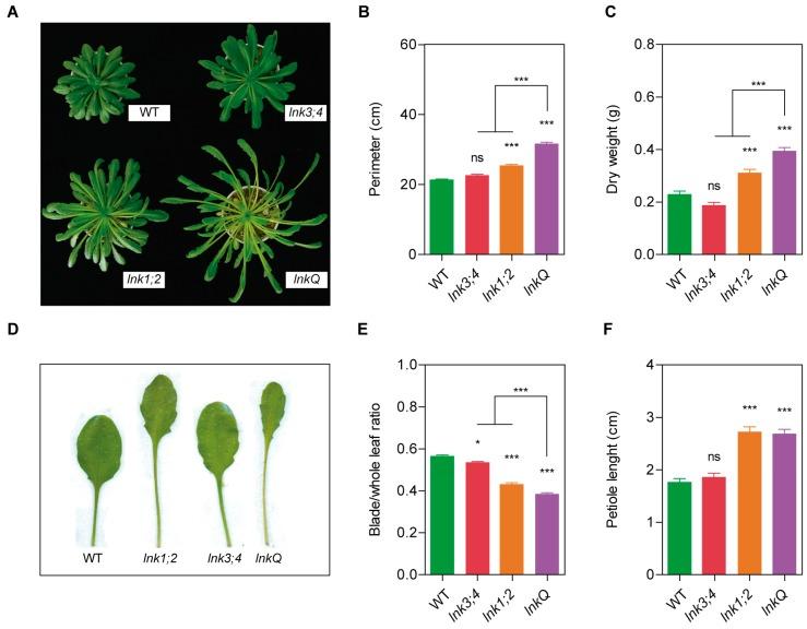 https://cdn.ncbi.nlm.nih.gov/pmc/blobs/80a2/6356500/2d2bca014db8/genes-10-00002-g005.jpg