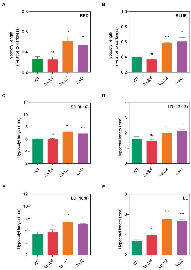 https://cdn.ncbi.nlm.nih.gov/pmc/blobs/80a2/6356500/ea79c9aedc9c/genes-10-00002-g003.jpg