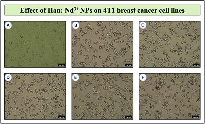https://cdn.ncbi.nlm.nih.gov/pmc/blobs/80a3/12397943/40947f2bbe38/gr9.jpg