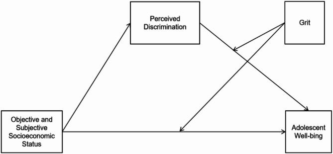 https://cdn.ncbi.nlm.nih.gov/pmc/blobs/80a5/12186365/cdf85ea1c1ee/40359_2025_3015_Fig1_HTML.jpg