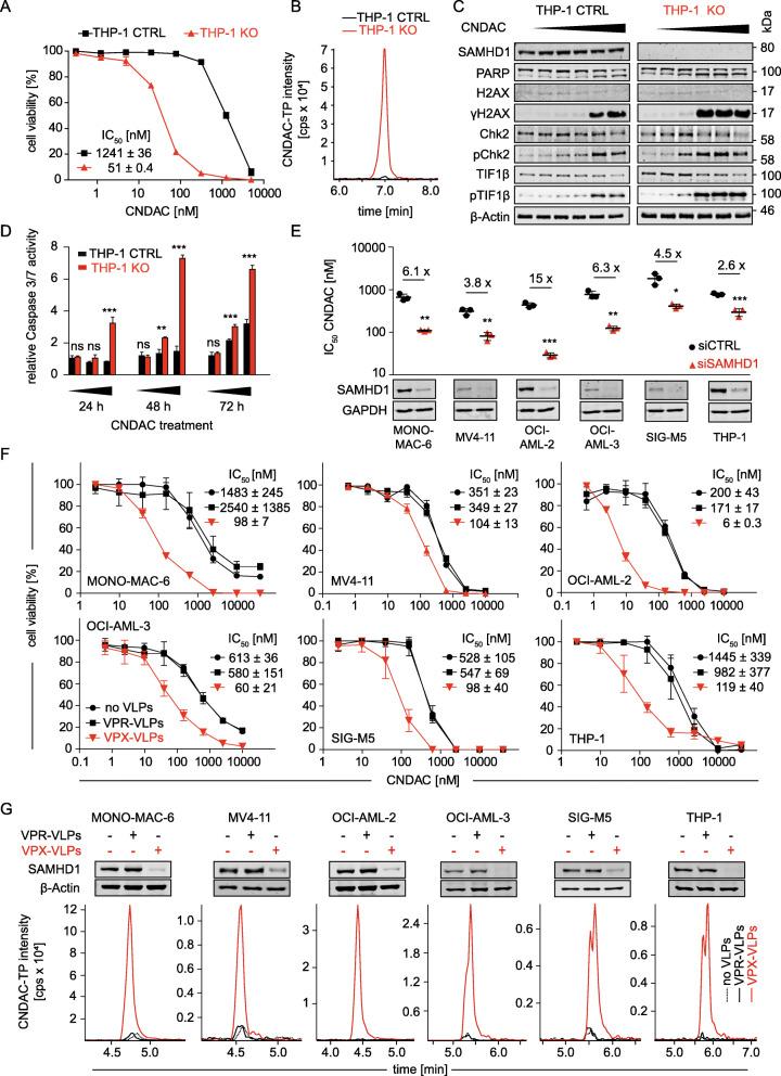 https://cdn.ncbi.nlm.nih.gov/pmc/blobs/80a5/8507139/039fc92d3f99/13046_2021_2093_Fig2_HTML.jpg