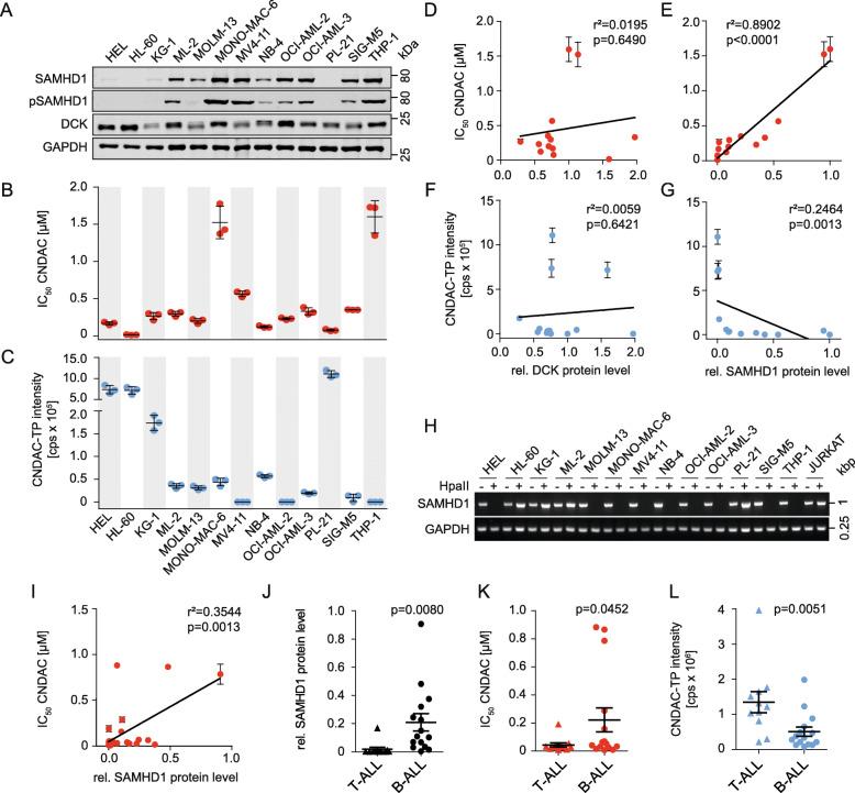 https://cdn.ncbi.nlm.nih.gov/pmc/blobs/80a5/8507139/7d7c56df8abf/13046_2021_2093_Fig1_HTML.jpg