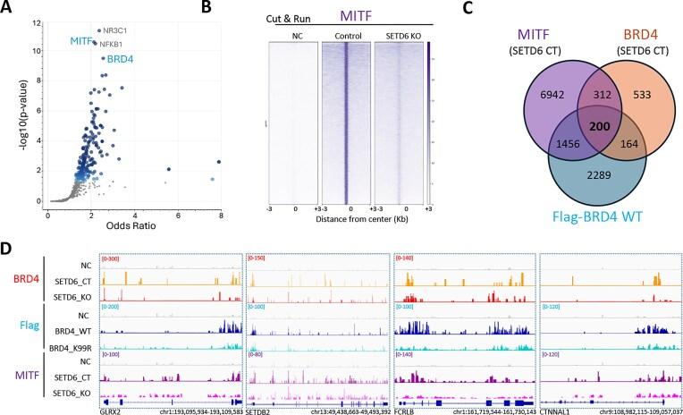 https://cdn.ncbi.nlm.nih.gov/pmc/blobs/80a6/12342177/6193e93ceaa6/zcaf023fig4.jpg