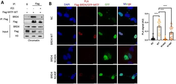 https://cdn.ncbi.nlm.nih.gov/pmc/blobs/80a6/12342177/a4dcaaadeb9b/zcaf023fig7.jpg