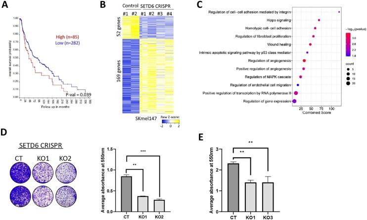 https://cdn.ncbi.nlm.nih.gov/pmc/blobs/80a6/12342177/b699439af7e2/zcaf023fig1.jpg