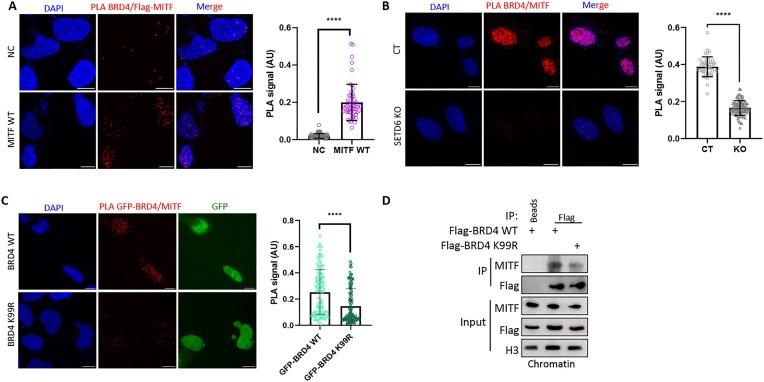 https://cdn.ncbi.nlm.nih.gov/pmc/blobs/80a6/12342177/bd45cbf3fb6e/zcaf023fig5.jpg
