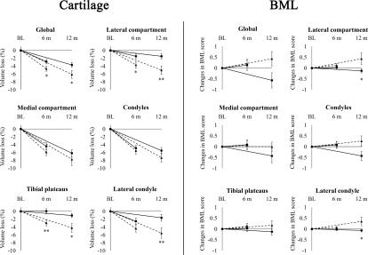 https://cdn.ncbi.nlm.nih.gov/pmc/blobs/80a7/3086081/3bf6a0af8d28/ard-70-6-0982-fig2.jpg