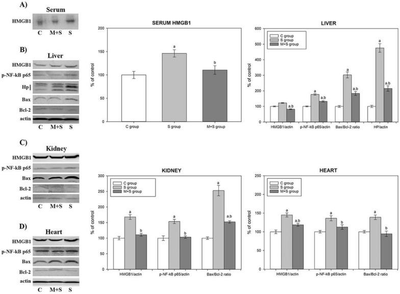 https://cdn.ncbi.nlm.nih.gov/pmc/blobs/80a8/8464894/83f6b7188a91/ijms-22-09698-g003.jpg