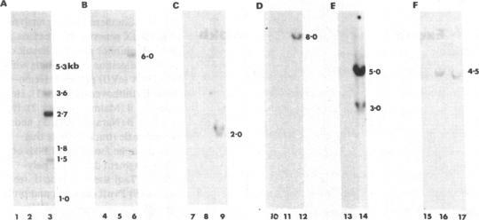 https://cdn.ncbi.nlm.nih.gov/pmc/blobs/80aa/424186/9ef2560d264b/jcinvest00114-0088-a.jpg