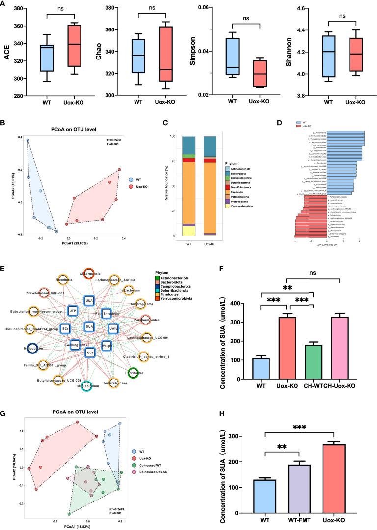 https://cdn.ncbi.nlm.nih.gov/pmc/blobs/80aa/8858814/41eeeb8309d6/fimmu-13-804306-g001.jpg