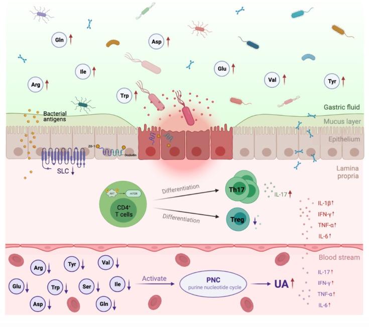 https://cdn.ncbi.nlm.nih.gov/pmc/blobs/80aa/8858814/682e5bde08c5/fimmu-13-804306-g006.jpg