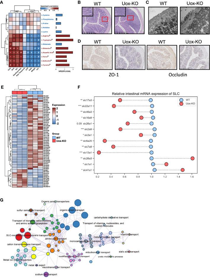 https://cdn.ncbi.nlm.nih.gov/pmc/blobs/80aa/8858814/a0b2e6305ff1/fimmu-13-804306-g003.jpg