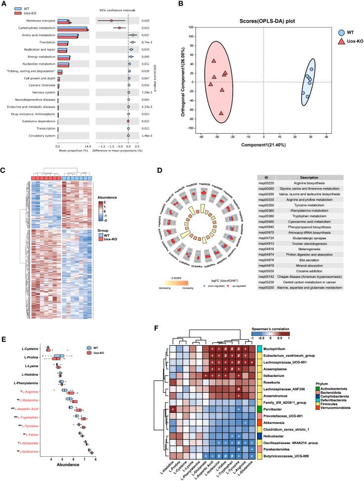 https://cdn.ncbi.nlm.nih.gov/pmc/blobs/80aa/8858814/ce46698ce63e/fimmu-13-804306-g002.jpg