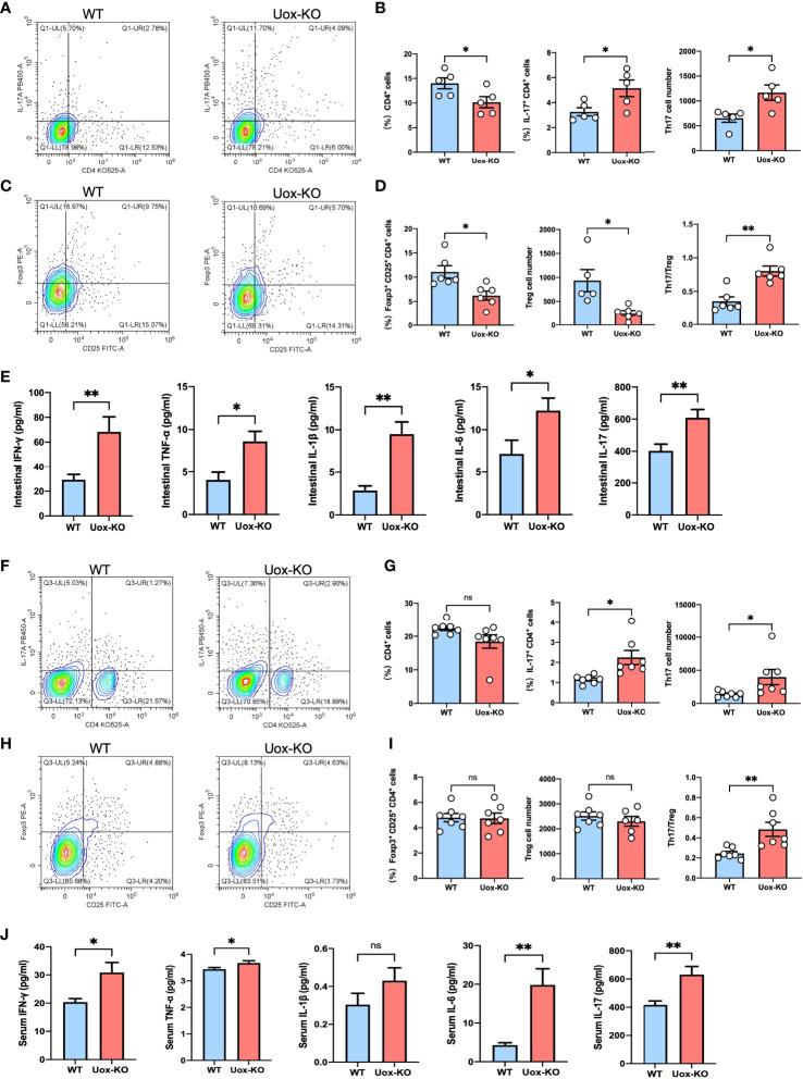 https://cdn.ncbi.nlm.nih.gov/pmc/blobs/80aa/8858814/d57fd87c1727/fimmu-13-804306-g004.jpg