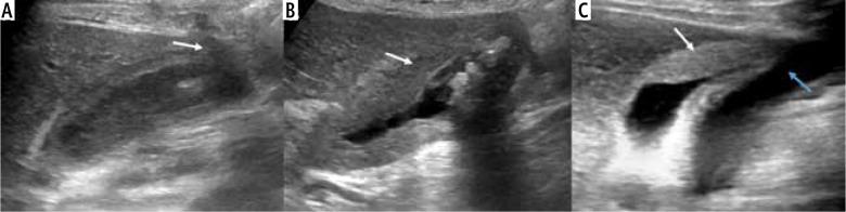 https://cdn.ncbi.nlm.nih.gov/pmc/blobs/80ab/9850297/f9756275536d/CEH-8-48661-g001.jpg