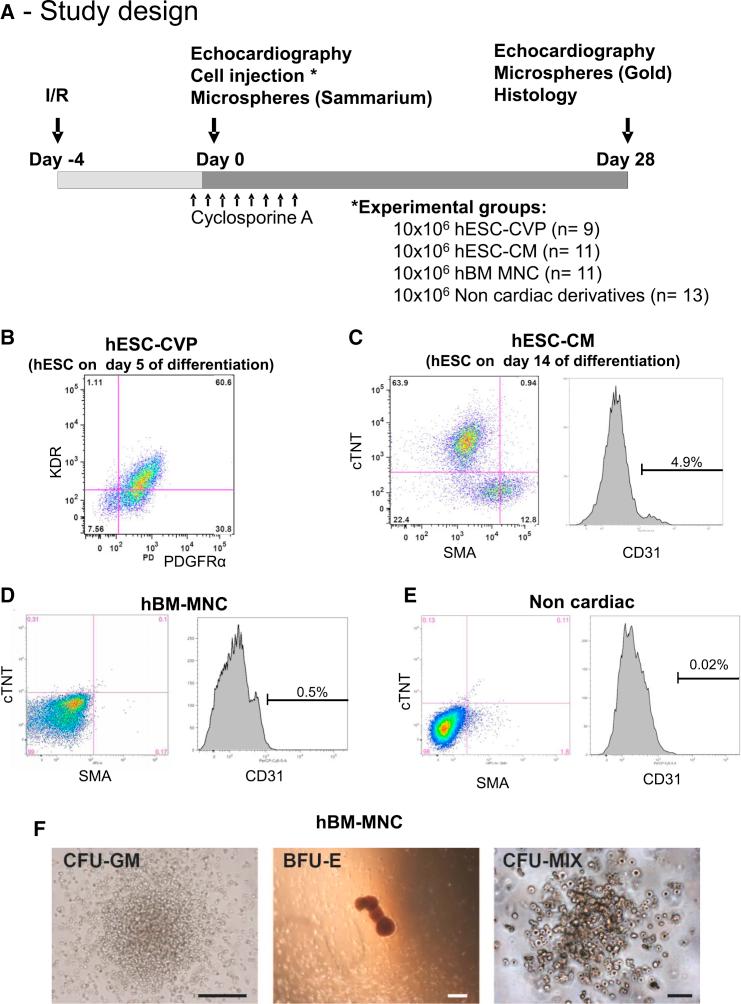 https://cdn.ncbi.nlm.nih.gov/pmc/blobs/80ac/4649260/23b0c24f7127/gr1.jpg