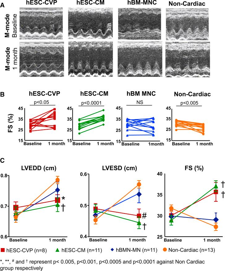 https://cdn.ncbi.nlm.nih.gov/pmc/blobs/80ac/4649260/a3ddfb421b43/gr2.jpg